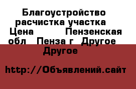 Благоустройство, расчистка участка. › Цена ­ 100 - Пензенская обл., Пенза г. Другое » Другое   